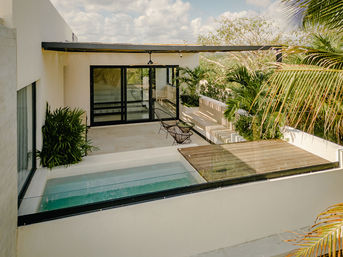 Sunny modern rooftop terrace with a rectangular plunge pool, wooden deck, striped built-in bench, black wire chairs, sliding glass doors and tropical palms