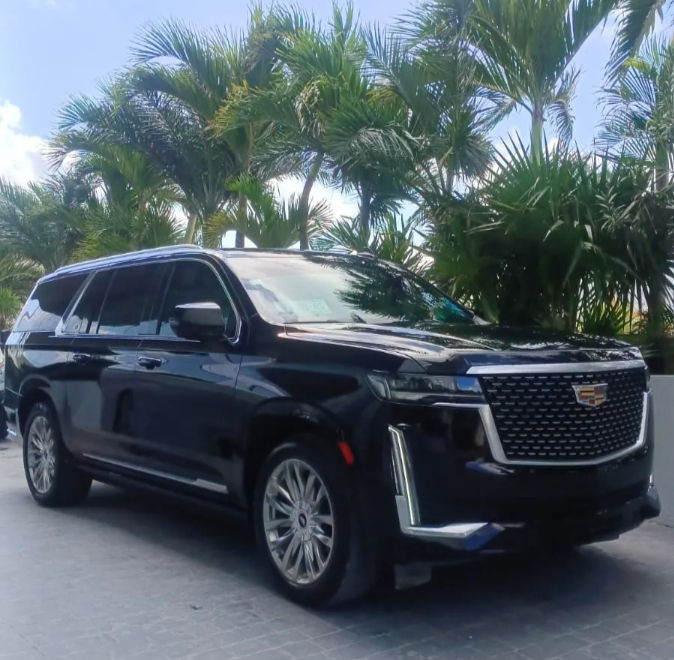 Black Cadillac Escalade luxury SUV with chrome grille parked on a sunny driveway framed by tropical palm trees