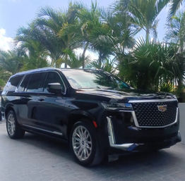 Black Cadillac Escalade luxury SUV with chrome grille parked on a sunny driveway framed by tropical palm trees