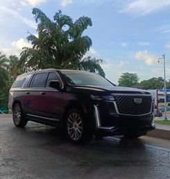 Sleek black Cadillac Escalade luxury SUV parked beneath palm trees on a sunny tropical driveway with blue sky