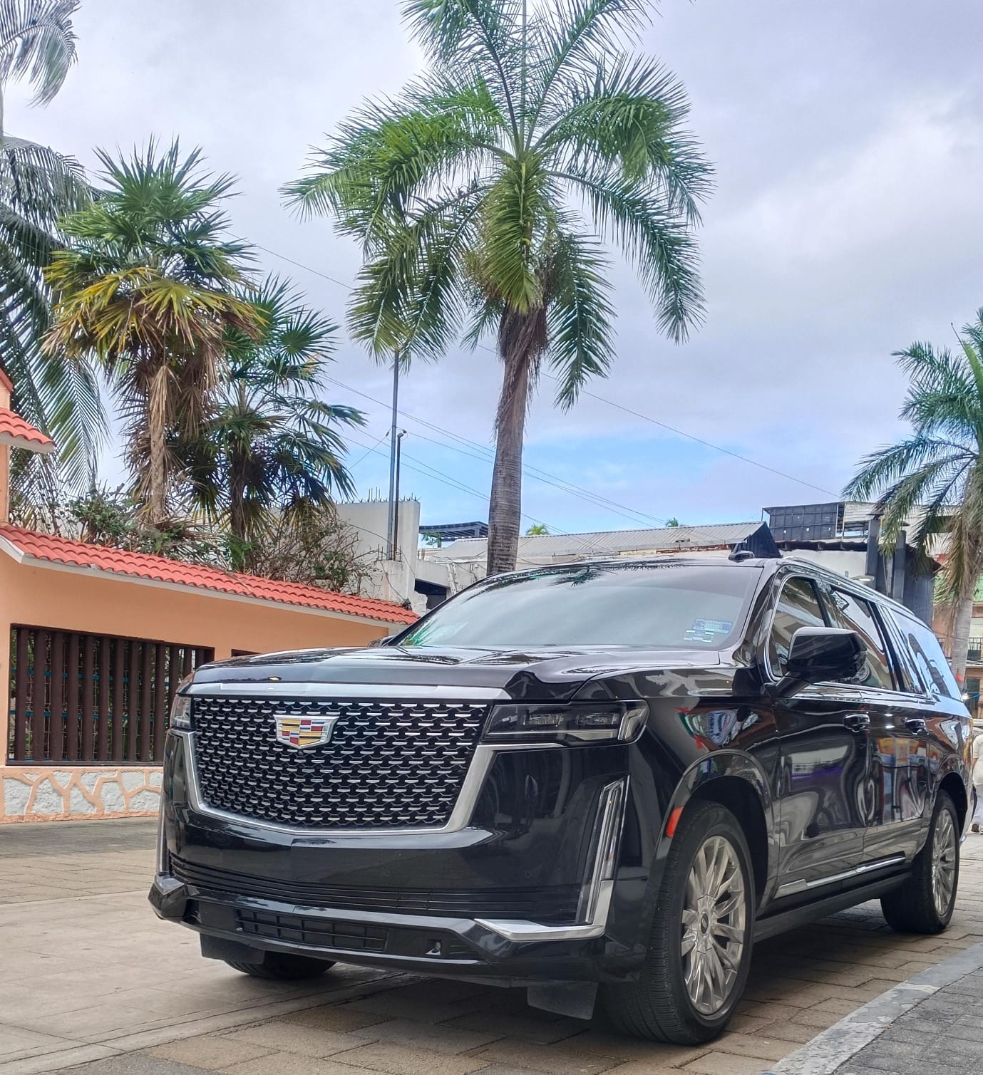 Black Cadillac Escalade luxury SUV parked on a palm-lined residential street in front of a red-tile roof house under an overcast tropical sky