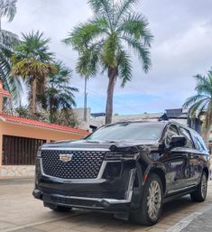 Black Cadillac Escalade luxury SUV parked on a palm-lined residential street in front of a red-tile roof house under an overcast tropical sky