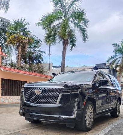 Black Cadillac Escalade luxury SUV parked on a palm-lined residential street in front of a red-tile roof house under an overcast tropical sky