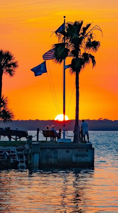 Golden-orange coastal sunset over a marina, silhouetted palm trees and a flagpole on a pier, boats bobbing on reflective water and people enjoying the view.