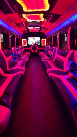 Red Rocks Party Bus: Round-Trip Concert Transportation with Music, Lights & BYOB image 6