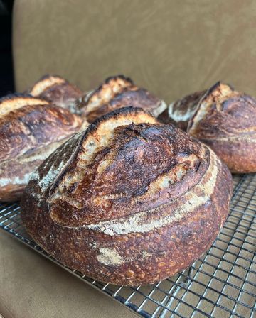 Home-baked artisan sourdough loaf with deep golden-brown, blistered crust and scored top, cooling on a wire rack with more loaves blurred in the background.