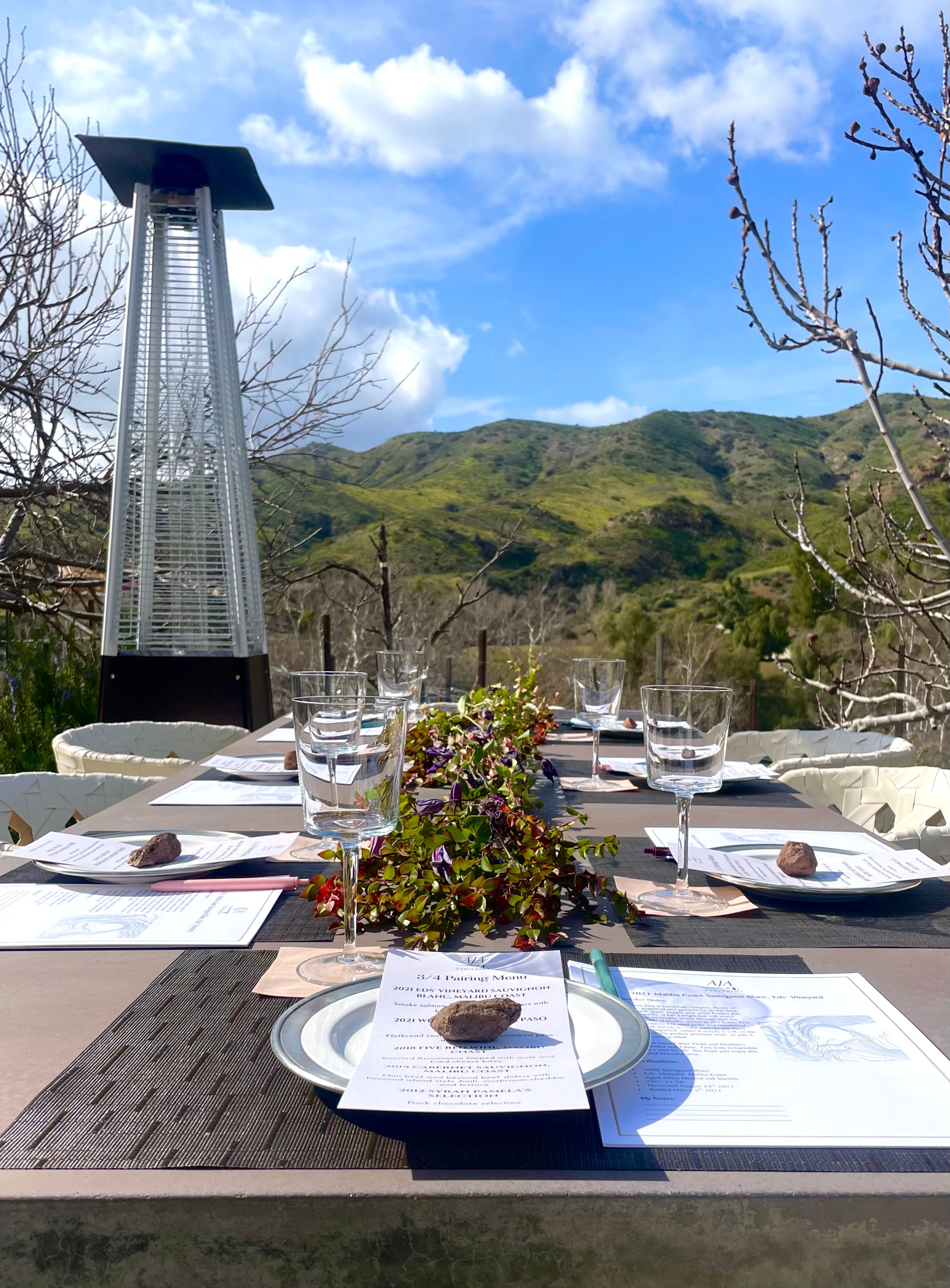 Sunny outdoor dining table set with wine glasses, plates and menus, leafy centerpiece and patio heater, overlooking green rolling hills and blue sky.