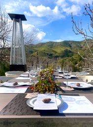 Sunny outdoor dining table set with wine glasses, plates and menus, leafy centerpiece and patio heater, overlooking green rolling hills and blue sky.