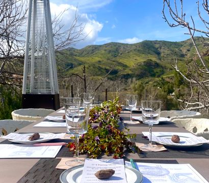 Sunny outdoor dining table set with wine glasses, plates and menus, leafy centerpiece and patio heater, overlooking green rolling hills and blue sky.
