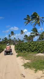 ATV ride along a sunny tropical beach trail lined with swaying palm trees, green coastal shrubs, and a bright blue sky