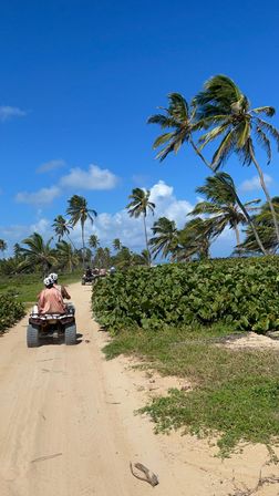 ATV ride along a sunny tropical beach trail lined with swaying palm trees, green coastal shrubs, and a bright blue sky