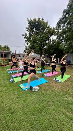 Outdoor group yoga class on a green lawn: women in athletic wear on colorful mats practicing crescent-lunge poses beneath a large tree and cloudy sky