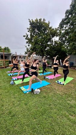Outdoor group yoga class on a green lawn: women in athletic wear on colorful mats practicing crescent-lunge poses beneath a large tree and cloudy sky