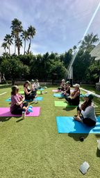 Outdoor group yoga class on colorful mats on a sunny Southern California lawn beneath tall palm trees and a bright blue sky.