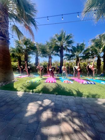 Group outdoor yoga class on colorful mats on a sunny lawn beneath palm trees and string lights against a bright blue sky.