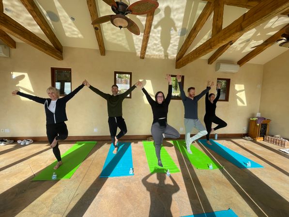 Sunlit indoor yoga class: five people holding hands and balancing in tree pose on bright green and blue mats beneath exposed wooden beams and a ceiling fan.