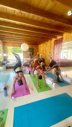 Sunlit indoor yoga session in a wood‑paneled beach house-style studio — participants on colorful mats practicing three-legged downward dog near large windows with a palm tree view