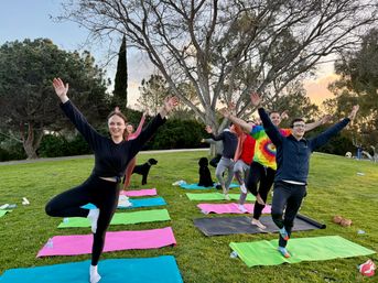 Smiling group doing outdoor yoga in a grassy park at sunset, balancing in tree pose on colorful mats under a large tree with a couple of small dogs nearby
