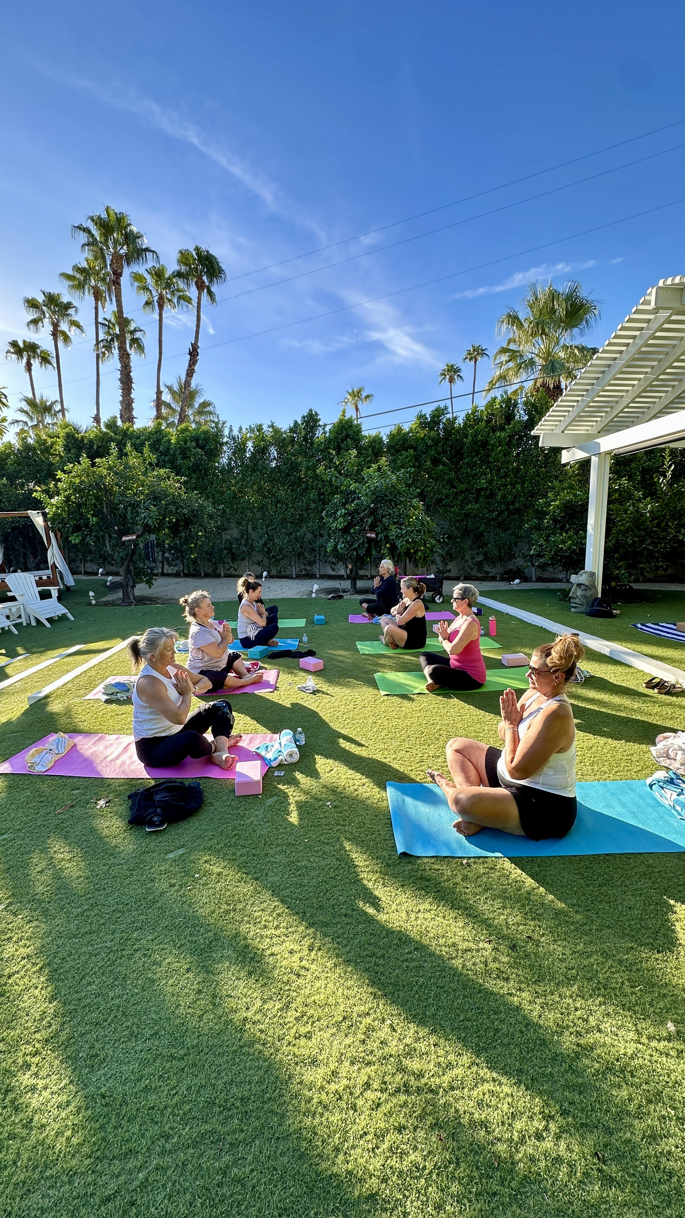 Sunlit outdoor yoga class with women seated on colorful mats and blocks on a green lawn, framed by tall palm trees and a clear blue sky — relaxed Southern California backyard vibe.