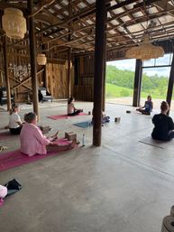 Yoga Amongst the Horses of HapBE Valley image 6