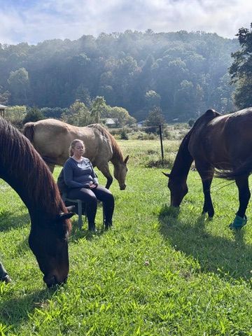Come Meditate with the Horses of HapBE Valley image 4
