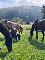 Come Meditate with the Horses of HapBE Valley image 4