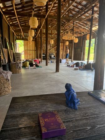 Yoga Amongst the Horses of HapBE Valley image 4