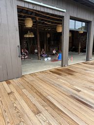 Yoga Amongst the Horses of HapBE Valley image 5