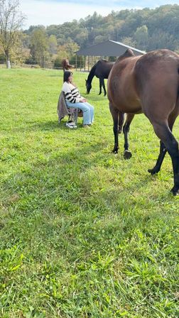 Come Meditate with the Horses of HapBE Valley image 7