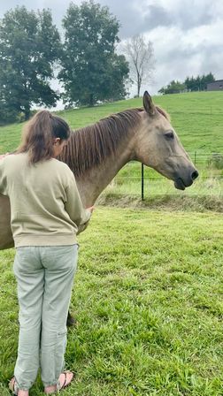Come Meditate with the Horses of HapBE Valley image 8
