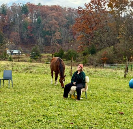 Come Meditate with the Horses of HapBE Valley image 5