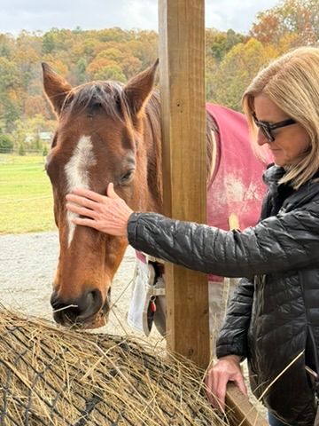 Person petting a chestnut horse over a hay bale at a rural farm with autumn foliage and a wooden post
