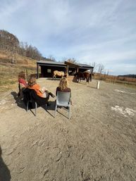 Three people seated on plastic chairs watching three horses at a covered run-in shelter in a sunlit rural horse paddock, with rolling hills, leafless trees and a wide blue sky.