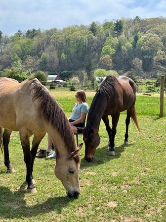 Come Meditate with the Horses of HapBE Valley image 3