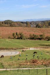 Sunny rural horse pasture with people and horses in a fenced paddock, green fields and golden meadows rolling toward distant blue mountains under a clear sky.