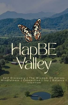 Yoga Amongst the Horses of HapBE Valley image 3