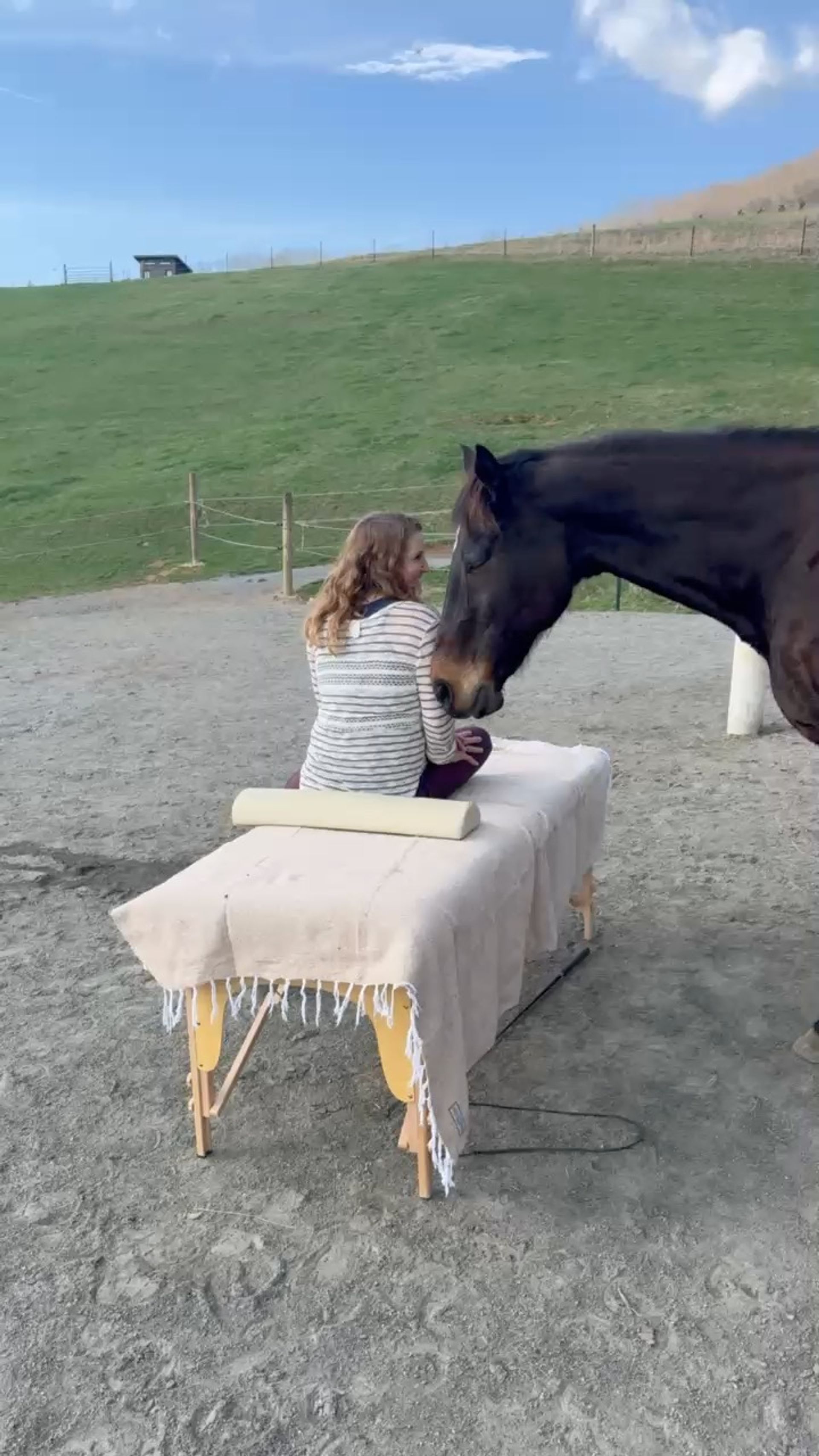 Person sitting on a portable massage table in a sunny paddock while a dark bay horse nuzzles their shoulder, green hillside and blue sky in the background.