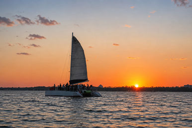 Sunset Sailing Cruise with Open Bar image 8
