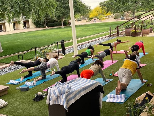 Outdoor group yoga class on colorful mats on a grassy patio, participants in bird-dog pose with raised arms and legs, overlooking a manicured lawn, trees and planters — casual outdoor wellness session