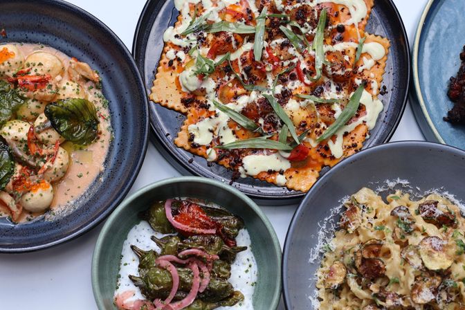 Top-down view of assorted gourmet small plates on a restaurant table: crispy orange ravioli drizzled with aioli and herbs, creamy seared scallops in a pink sauce, blistered shishito peppers with pickled onions on yogurt, and cheesy pasta with roasted zucchini.