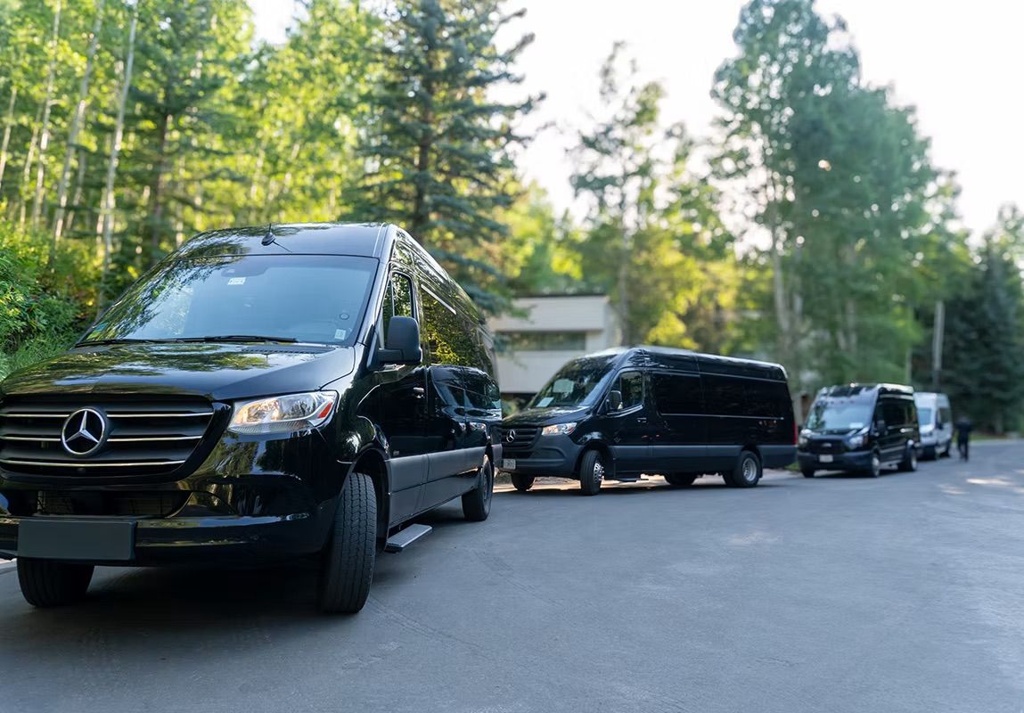 Sleek black passenger vans parked in a row along a tree-lined suburban road near a wooded residential area, sunlight filtering through tall trees