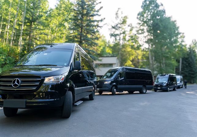 Sleek black passenger vans parked in a row along a tree-lined suburban road near a wooded residential area, sunlight filtering through tall trees