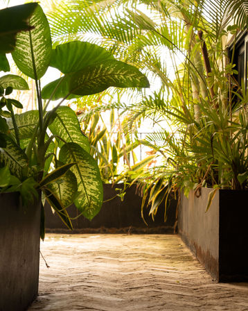 Esmeralda Boutique Residences image 63