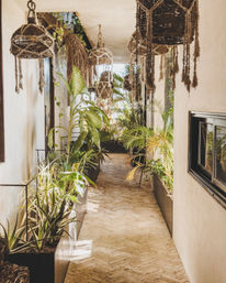 Esmeralda Boutique Residences image 67