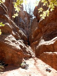 Desert Wild Girls Trip: Zion Adventure + Wellness Retreat image 6