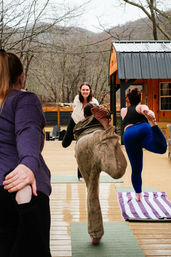 Power Yoga in the Blue Ridge with Good Vibes & Great Views image 6