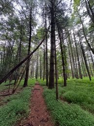 Hike it Like it's Hot: Boots & Optional Brews image 2