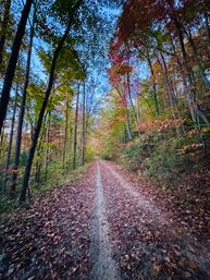 Hike it Like it's Hot: Boots & Optional Brews image 3