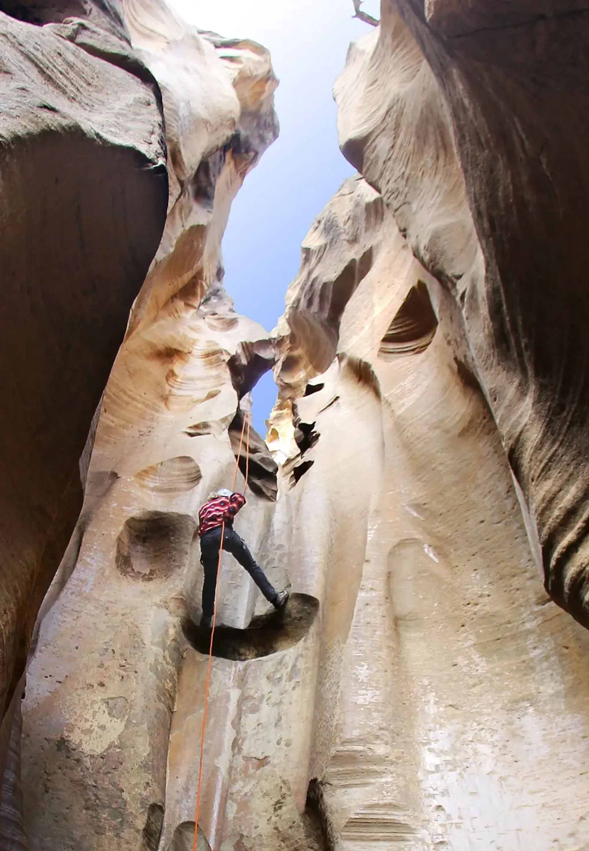 Desert Wild Adult Summer Camp: Zion Adventure Retreat image 2