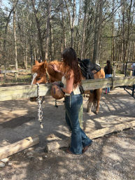 Rider in jeans and boots petting a saddled chestnut horse over a wooden fence on a wooded trail while holding a riding helmet — outdoor horseback riding scene.